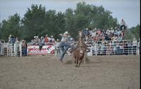 Dan Webb Calf roping