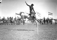 [Possibly Ernie Barnett riding saddle bronc]