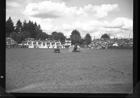 Dan Poore Calf Roping