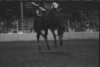 Unidentified rider on unknown mount