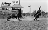 Gene Holm & Steve Hansen Team roping