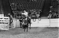 Pinkey Brennan on Dragon Fly