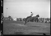 Bud Linderman on Bald Hornet