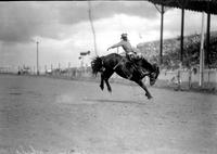 [Unidentified Cowboy riding bronc]