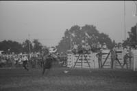 Unidentified rider on unknown mount