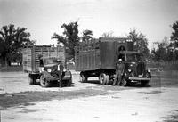 [Two men leaning on horse hauling trucks in yard]