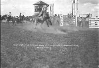 A nice gentle saddle pony at Cheyenne Frontiers Days