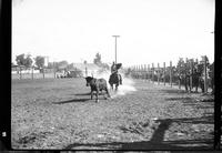 Clyde Alred Steer Stopping