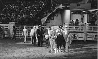 Unidentified Ticket sellers