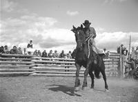 Elmer Fisher on Black Hawk, Irvin Ross Ranch