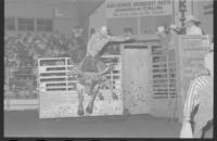 Gary Toole on Bull #C85