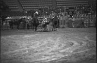Gene Clark fighting Bull #51