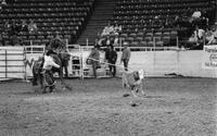 Danny Snow Calf roping