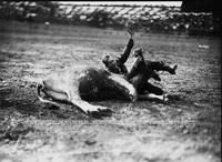 Cheyenne Kaiser Bulldogging Pendleton Round-Up 1928 (5)