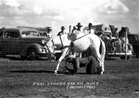 Earl Stover and his Mule