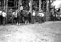 [Unidentified cowboy on horseback in arena; may be Cremer]