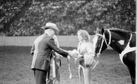 Award ribbons to unidentified Trick riders