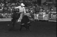 Dale Gibson on Bull #131