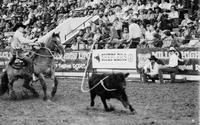 Darrell Lambert Calf roping