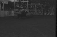 Unidentified Rodeo clowns Bull fighting