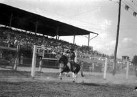 [Unidentified mounted cowboy galloping past grandstand tipping hat having been introduced]