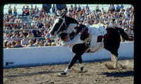 Vickie Adams specialty act