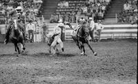 Chad Trahan Steer wrestling