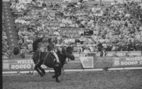 John Steenhoek on unknown bronc