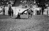 Kurt Butler Steer wrestling