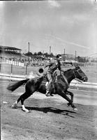 [Unidentified Swift's Jewel cowboy on galloping horse on track]