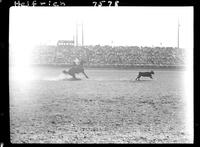 Bill Hogue Calf Roping