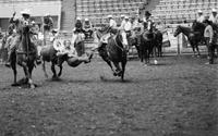 Ron Jones Steer wrestling