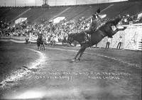 Homer Ward Making Wild Ride, Tex Austins Rodeo Chicago