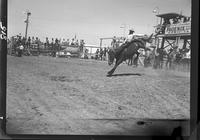Jimmie Hazen on Rusty