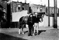 [Unidentified cowgirl with lightning stripe on pants and cowboy with horse, row of houses behind]