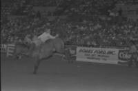 Robin Burwall on Jim