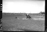 Everett Shaw Calf Roping