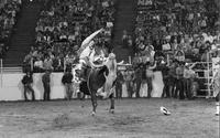Mike Magers on Bull #7