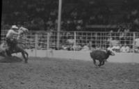 Steve Schultz Calf roping, 11.9 Sec