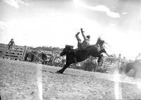 [Unidentified Cowboy leaving bareback bronc]