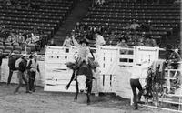 Nicky Hite on Bull #51