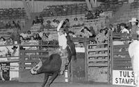 Jim Gay on Bull #33