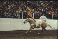 Micki McNutt, specialty act, trick riding