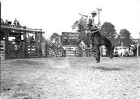 [Unidentified Cowboy riding bronc]