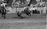 Kenny Bledsoe Steer wrestling