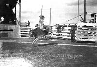 Peggy Murray Riding Wild Steer, Compton-Hughes Rodeo