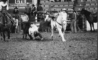 Jeff Dorenkamp Steer wrestling