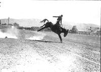 [Unidentified hatless Cowboy riding bronc]