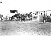 [Unidentified Cowboy on his way to the dirt]