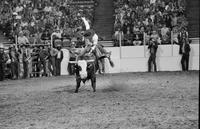 Mike Bandy on Bull # -6